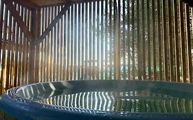 Domek Oliwkowy Balia z Jacuzzi KASZUBY